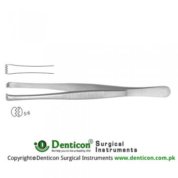 Lerche Dissecting Forcep 5 x 6 Teeth Stainless Steel, 15 cm - 6"
